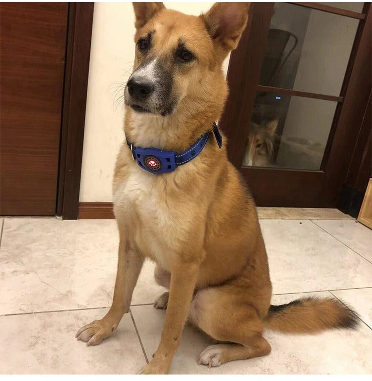 Smart GPS Pet Locator for Real-Time Location and Pet Safety