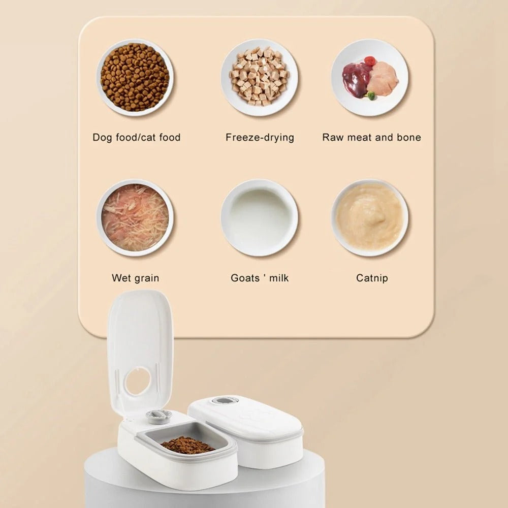 Automatic Pet Feeder With Water Dispenser for Stress-Free Pet Care