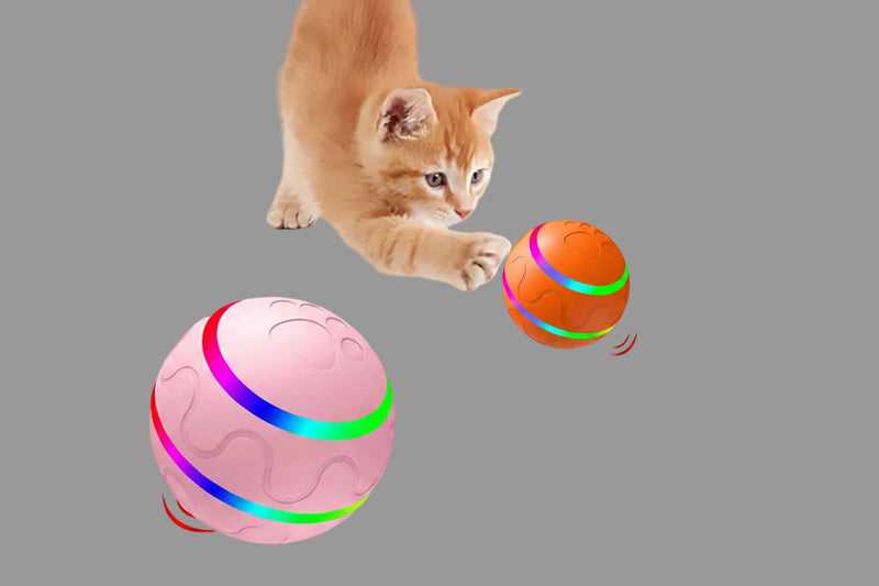 Cat Toys