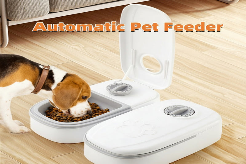automatic pet feeder